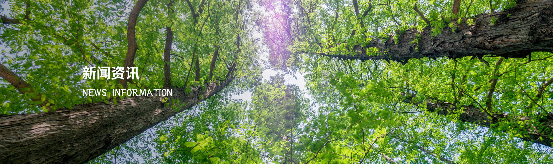 广州市森荣木制品有限公司